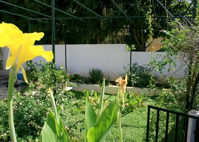 Fotini\'S House